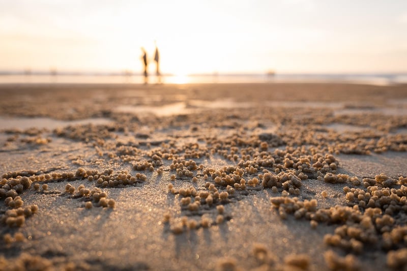 Travel image